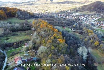 Teren agricol extravilan de 21437 mp, în Vlădesti - 8