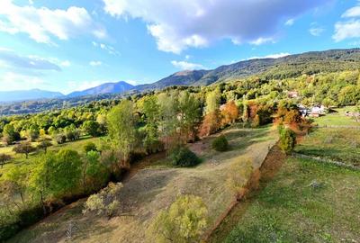 Teren intravilan de 10000 mp, în Corbeni - 3