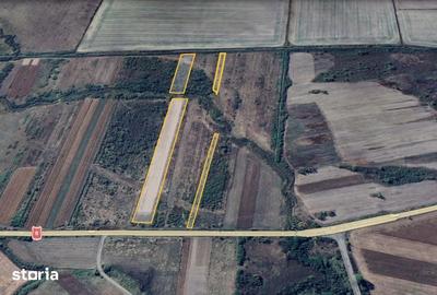 Teren de 28300 mp, în Gavojdia - 3
