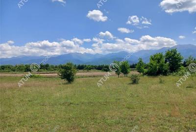 Teren de 5000 mp, în Avrig - 2