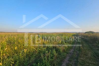 Teren de 1476 mp, în Periferie - 2