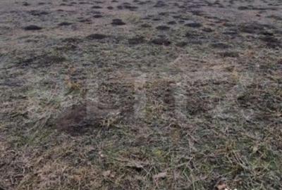 Teren de 867 mp, în Central