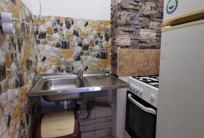 Garsonieră semidecomandată, mobilată în Gara de Nord - 12