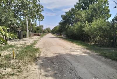 Teren de 4975 mp, în Belciug - 9