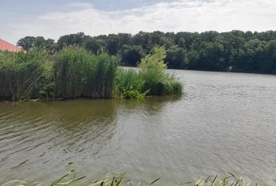 Teren de 11760 mp, în Gruiu - 3