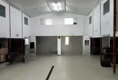 Hala industriala 758 mp + teren de vanzare, Rogerius, Oradea - 3