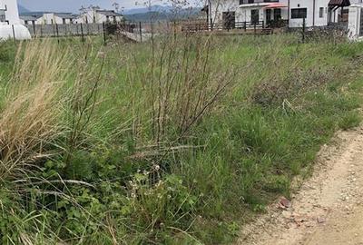 Teren intravilan Cristian 1000 mp - 2