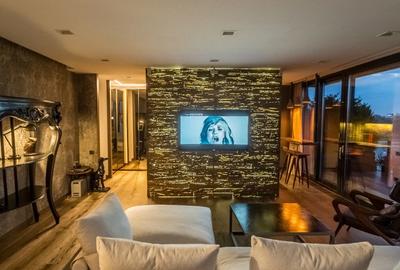 Penthouse cu 2 camere decomandat în Floreasca - 2