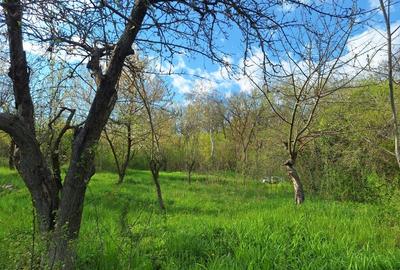 Casă individuală cu 5 camere cu Teren 5950 Mp în Câmpina - 20