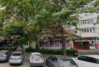Inchiriere spatiu comercial in zona Teiul Doamnei, stradal - 1