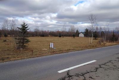 Teren extravilan in Borzont, langa DN13B - 3