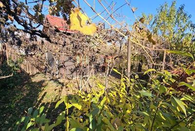 Teren cu Certificat de urbanism pentru construire - Andrei Muresanu - 7