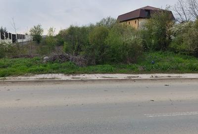 Teren de 9100 mp, în Dragomirești-Vale - 4