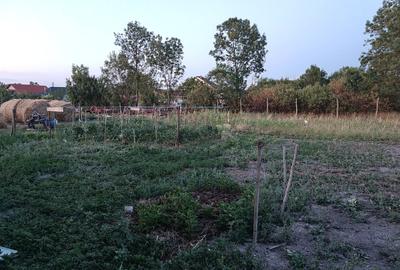 Casă cu 4 camere cu Teren 335 Mp în Central - 5