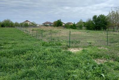 Teren de 2500 mp, în Torontalului - 1