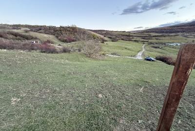 Teren Intravilan cu panorama in Borhanci Str Colonia Sopor 1000mp+85mp cota drum - 6