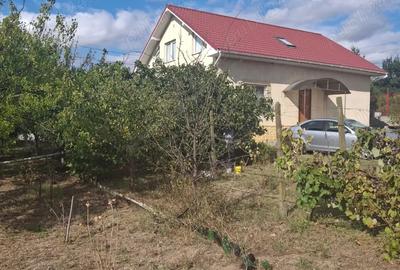 Casă cu 4 camere cu Teren 1300 Mp în Poarta Albă - 10