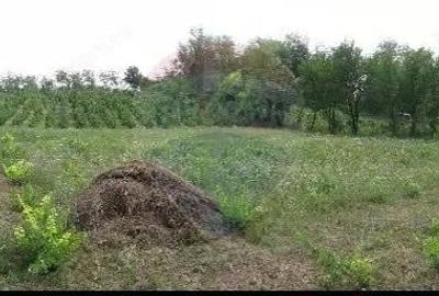 Teren de 6890 mp, în Crasna - 7