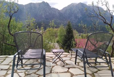 CHALET & SPA MAESTRUL SI MARGARETA /MARGARETA APARTMENT RENT/1300 EURO by WEEK - 6