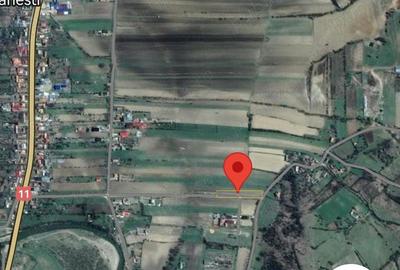 Teren de 1080 mp, în Bogdănești - 3