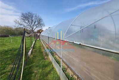 Casă individuală cu 5 camere cu Teren 1387 Mp în Suseni - 7