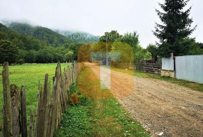 Teren, 4700 mp, intravilan, Leghin, comuna  Pipirig, județul Neamț - 5