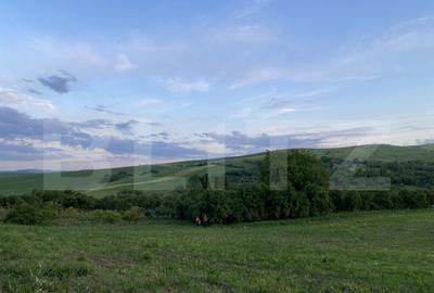 Teren intravilan, 21.450 mp, utilitati, acces autostrada, sa - 8