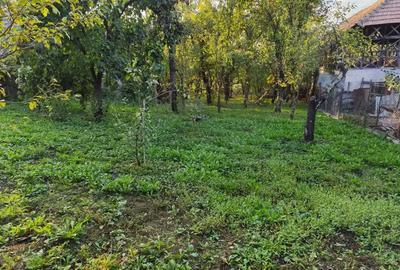 Casa de vanzare - teren 2357 mp in comuna Pietrari - 6