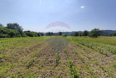 DE VANZARE - Teren intravilan Sisesti, Maramures (0% comision) - 5