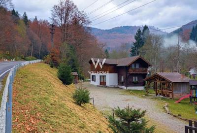 Cabana / Casa de vacanta pe Transfagarasan - Sibiu - 13