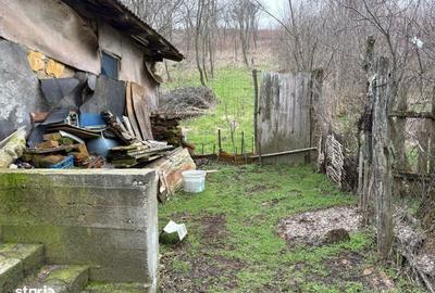 Teren de 2038 mp, în Ghercești - 12