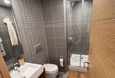 Dristor,Incity Residence,Spatioasa,Renovata,centrala,mobilata utilata complet - 5