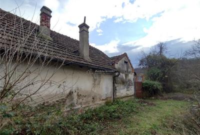 Bogodint, Casa 440mp cu 4 Hectare Teren, Pret Negociabil - 11