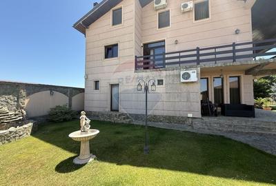 Casa de vacanta la 200m de Dunare - 42