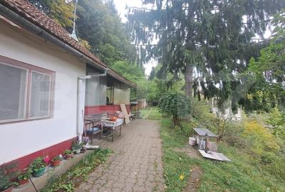 Casă individuală cu 2 camere cu Teren 1000 Mp în Vulcan - 2