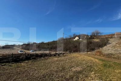 Teren în Vințu de Jos - 1