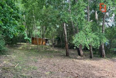 Comision 0% Teren de vanzare 6000 mp cu iesire la Lac Surduc - 7