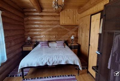 Inchiriere vila de lux, Campenesti dotari de exceptie - 15