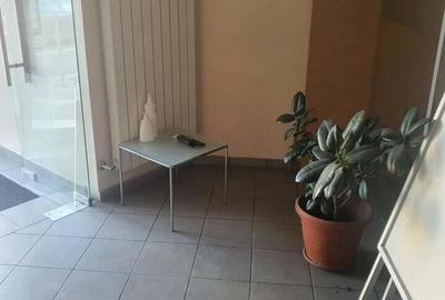 Spatiu situat in zona Teilor, pretabil sediu firma, clinica medicala - 8