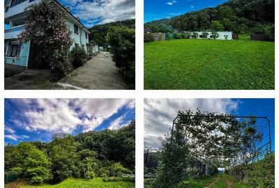 Casă cu 4 camere cu Teren 3800 Mp în Onești - 7