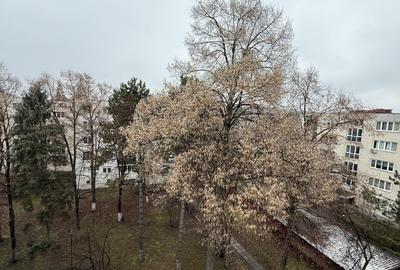 Apartament cu 3 camere semidecomandat, mobilat în Mănăștur - 13