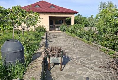 Casă cu 4 camere cu Teren 1000 Mp în Central - 5