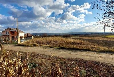 Teren de 750 mp, în Cuzdrioara - 3