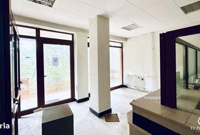 Casă cu 4 camere în Paltin - 7