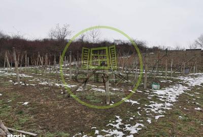 Casă cu 2 camere în Sântandrei - 3