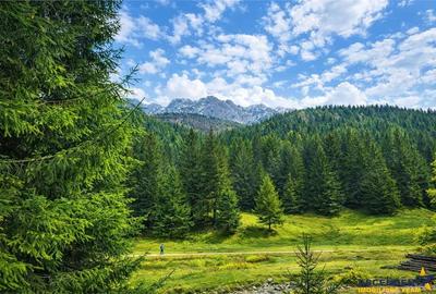 Teren de 4591 mp, în Plaiul Foii - 7