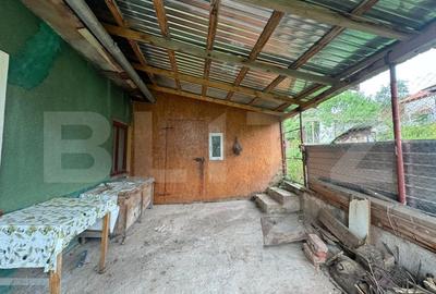 Casa cu 2 camere 50 mp si 836 mp teren, in Magura - 8