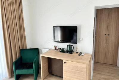 Garsoniera tip Aparthotel Afacere la cheie, Baile Felix, Bihor - 3