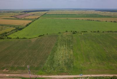 BALOTESTI - SAFTICA, TEREN INTRAVILAN 500 MP, DESCHIDERE 21 - 5