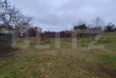 Teren de 2600 mp, în Strugurilor - 3